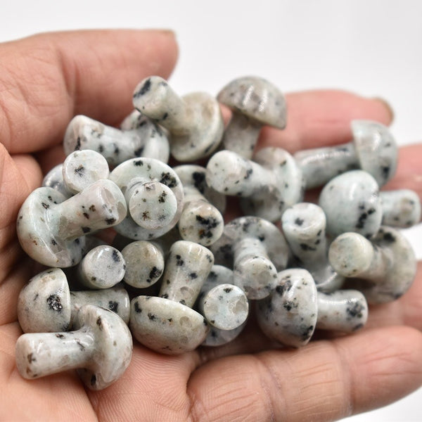 Mixed Crystal Mushrooms-ToShay.org