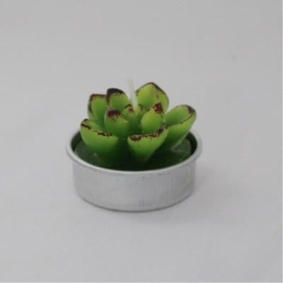 Tealight Cactus Candles-ToShay.org