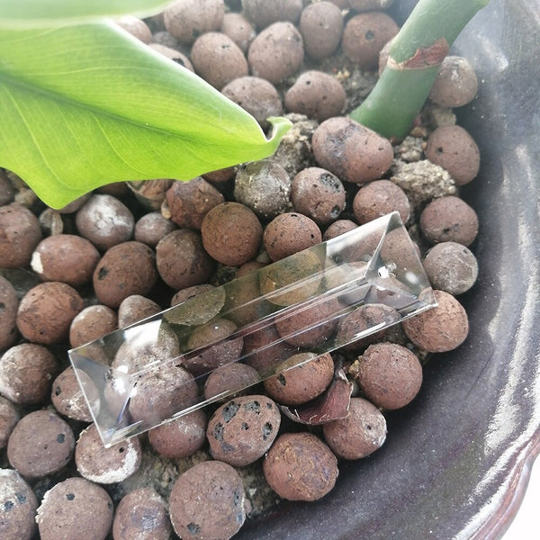Clear Triangle Crystal Pendant-ToShay.org