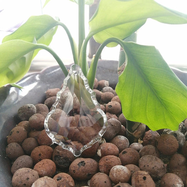 Clear Maple Leaf Crystal Pendant-ToShay.org