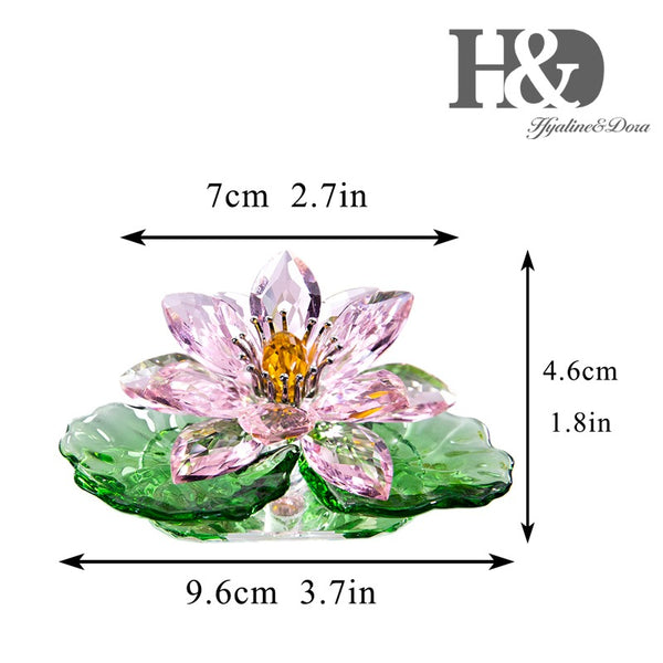 Pink Lotus Flower-ToShay.org