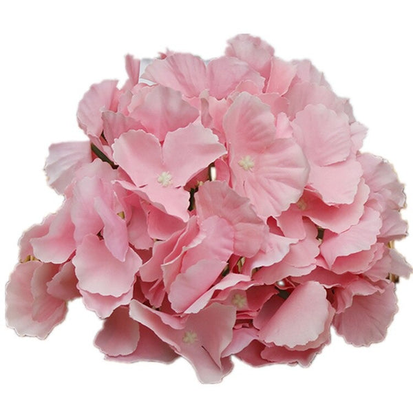 Hydrangea Flower Head-ToShay.org
