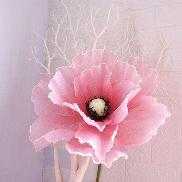 Poppy Flower-ToShay.org