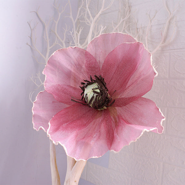 Poppy Flower-ToShay.org