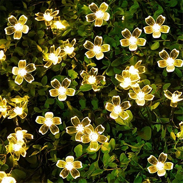 Peach Flower String Lights-ToShay.org