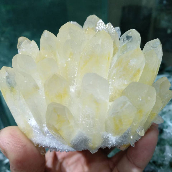 Yellow Crystal Quartz Cluster-ToShay.org