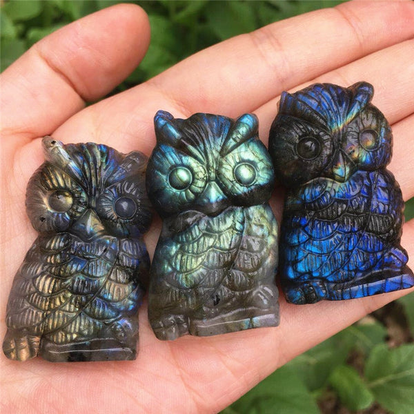 Blue Labradorite Crystal Owl-ToShay.org