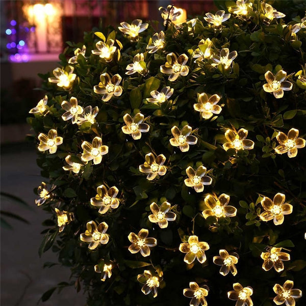 Peach Flower String Lights-ToShay.org