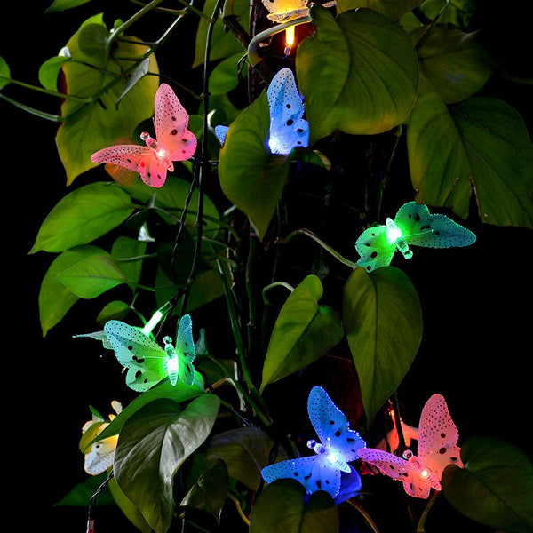 Solar Butterfly String Lights-ToShay.org