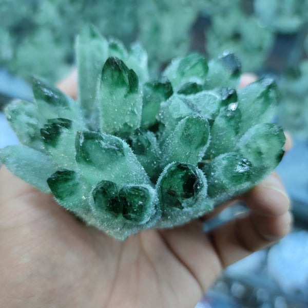 Green Frosted Quartz Crystal Cluster-ToShay.org