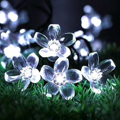 Flower Solar Fairy Lights-ToShay.org