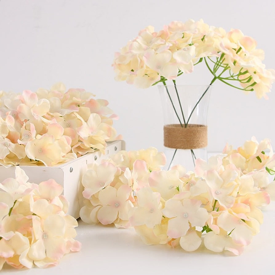 Hydrangea Flower Stems-ToShay.org