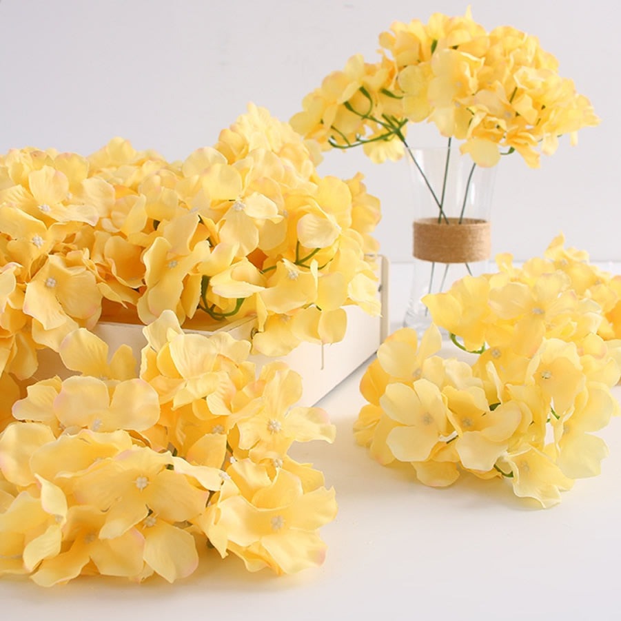 Hydrangea Flower Stems-ToShay.org