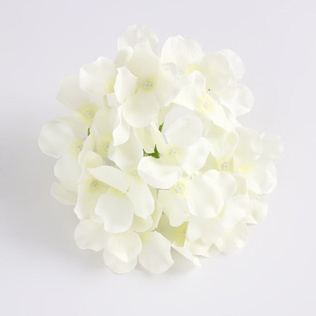 Hydrangea Flower Stems-ToShay.org