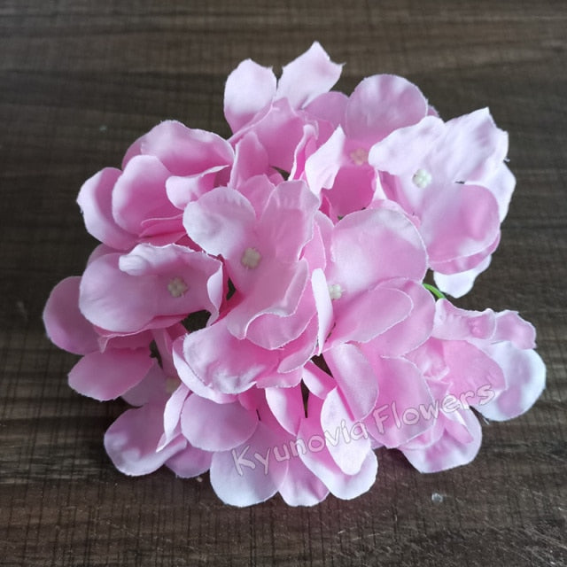 Hydrangea Flower Stems-ToShay.org