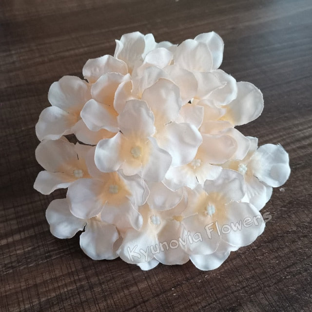 Hydrangea Flower Stems-ToShay.org