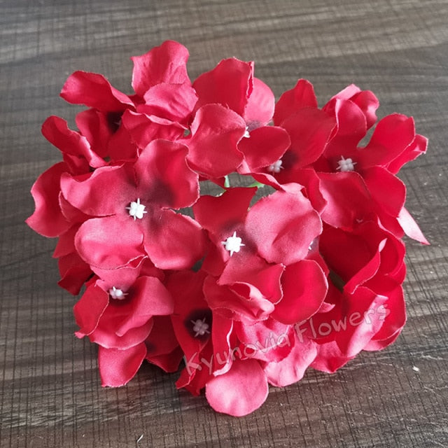 Hydrangea Flower Stems-ToShay.org