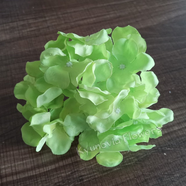 Hydrangea Flower Stems-ToShay.org