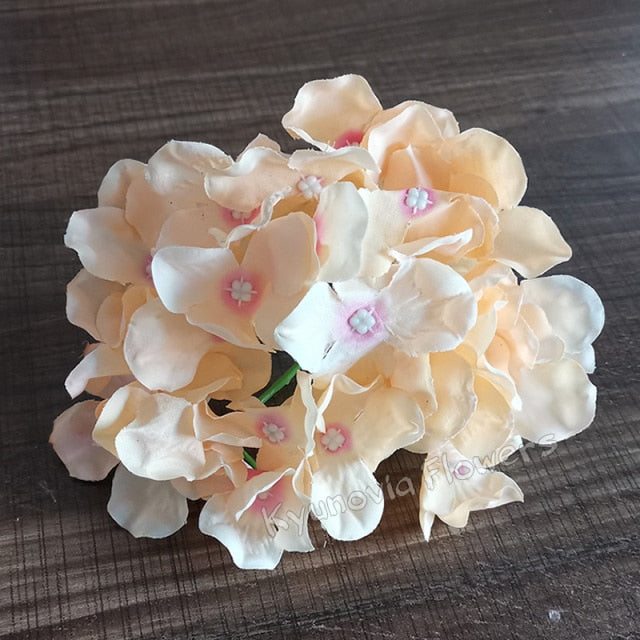 Hydrangea Flower Stems-ToShay.org