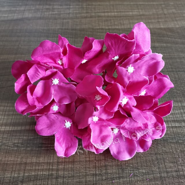 Hydrangea Flower Stems-ToShay.org