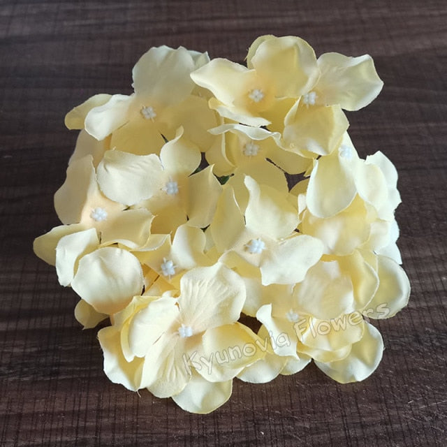 Hydrangea Flower Stems-ToShay.org
