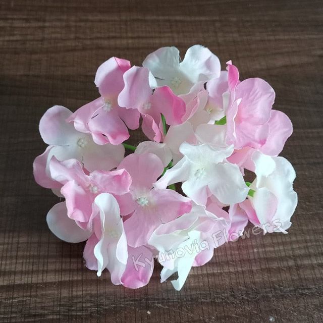Hydrangea Flower Stems-ToShay.org