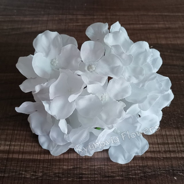 Hydrangea Flower Stems-ToShay.org