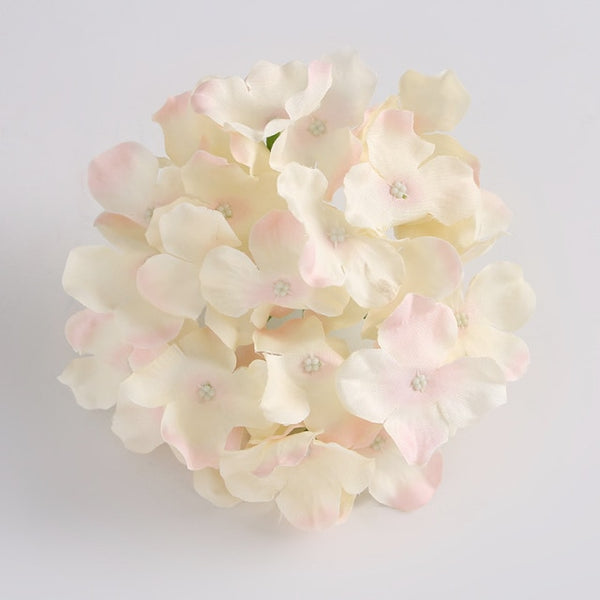 Hydrangea Flower Stems-ToShay.org