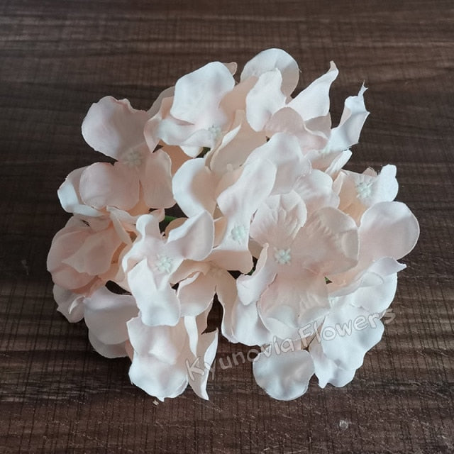 Hydrangea Flower Stems-ToShay.org