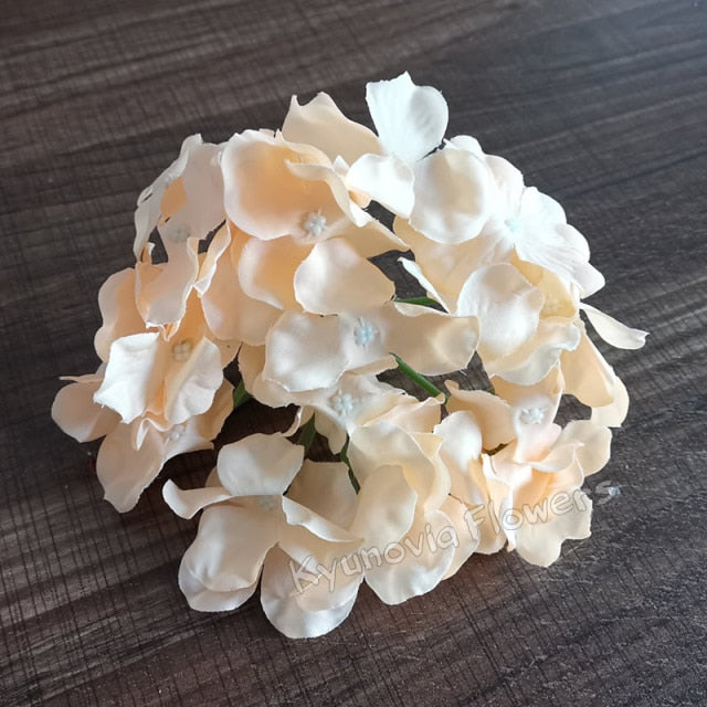 Hydrangea Flower Stems-ToShay.org