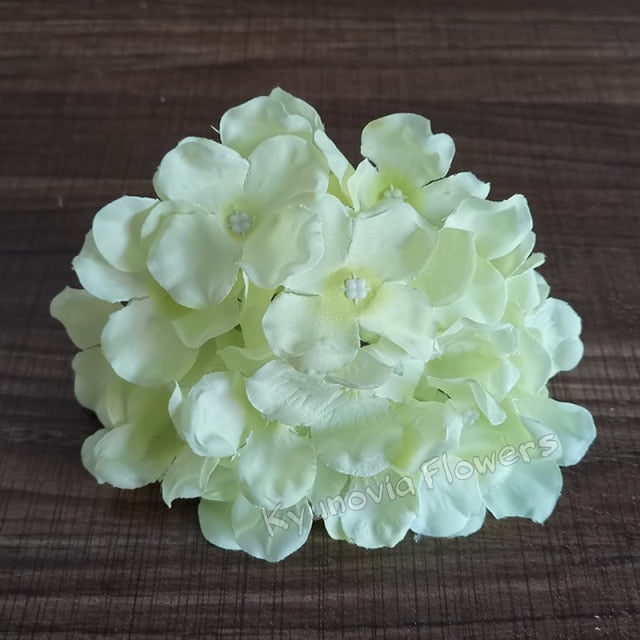 Hydrangea Flower Stems-ToShay.org