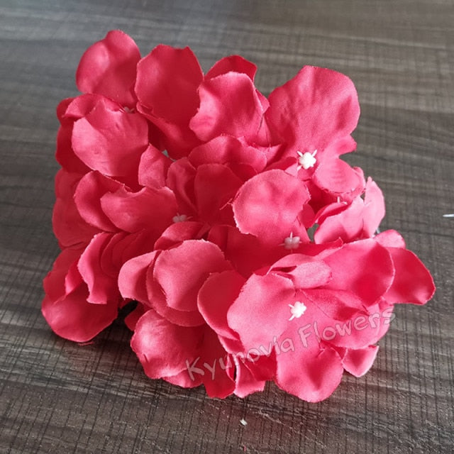 Hydrangea Flower Stems-ToShay.org