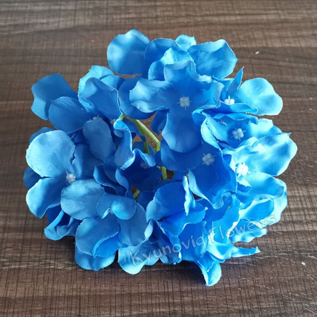 Hydrangea Flower Stems-ToShay.org