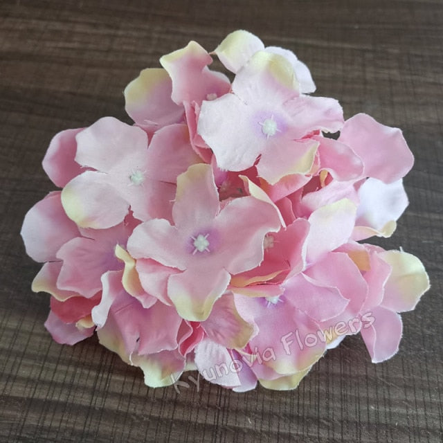 Hydrangea Flower Stems-ToShay.org