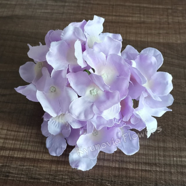 Hydrangea Flower Stems-ToShay.org
