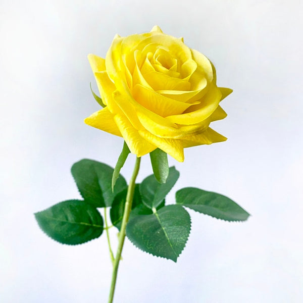 Rose Stem Flowers-ToShay.org
