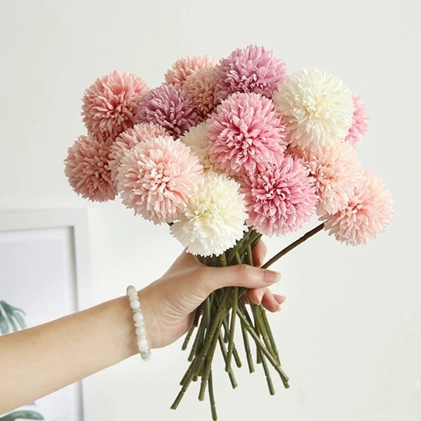 Dandelion Flower Stems-ToShay.org