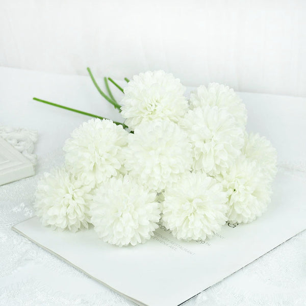 Dandelion Flower Stems-ToShay.org