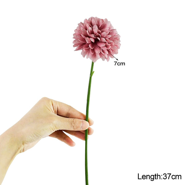 Dandelion Flower Stems-ToShay.org