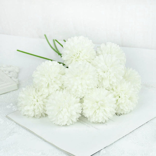 Dandelion Flower Stems-ToShay.org
