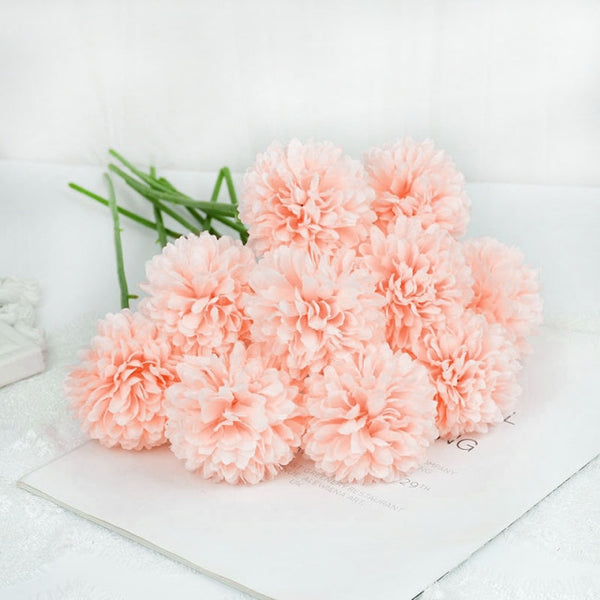 Dandelion Flower Stems-ToShay.org