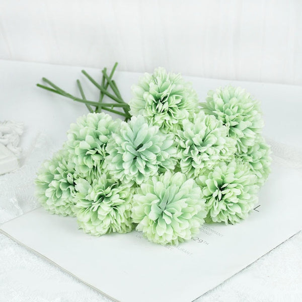 Dandelion Flower Stems-ToShay.org