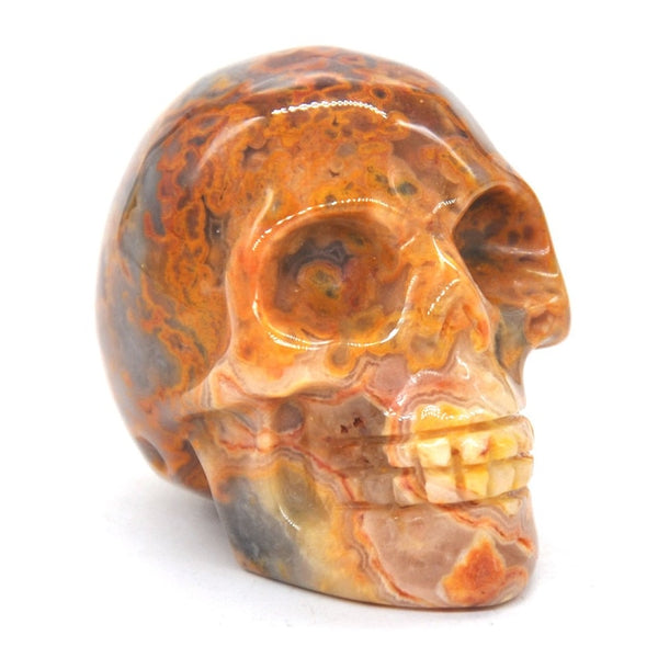 Mixed Crystal Skull Statues-ToShay.org