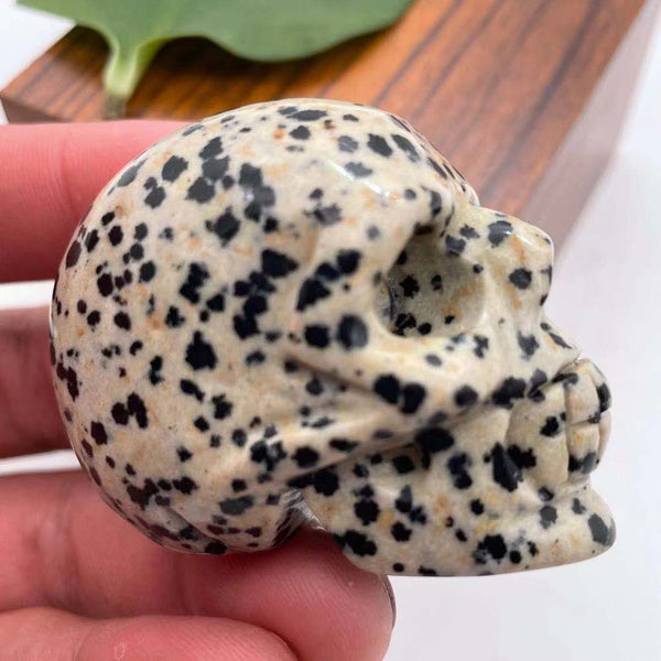 Black Spot Dalmatian Stone Skull-ToShay.org