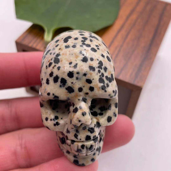 Black Spot Dalmatian Stone Skull-ToShay.org