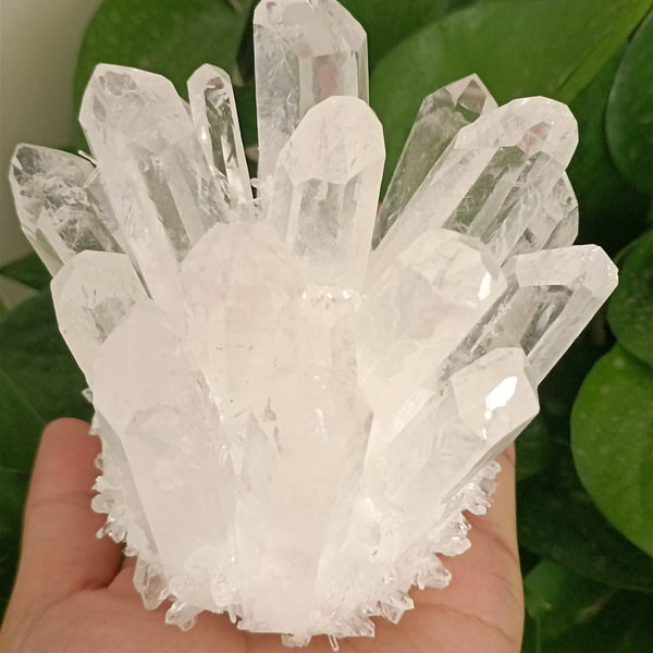 Clear Quartz Crystal Cluster-ToShay.org