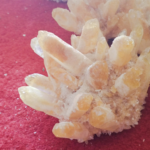 Yellow Ghost Quartz Crystal Cluster-ToShay.org