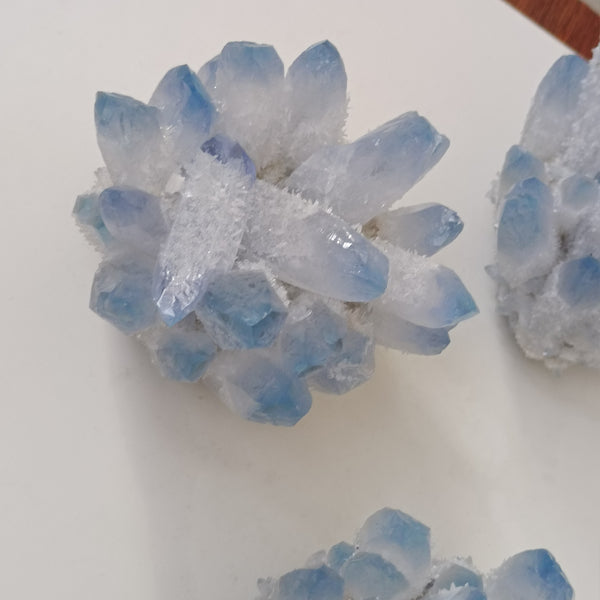 Blue Ghost Phantom Crystal Cluster-ToShay.org