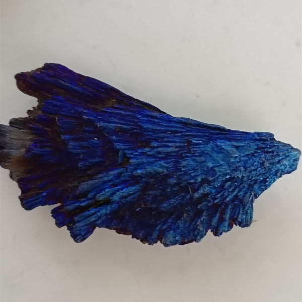 Blue Tourmaline Rainbow Peacock Tail-ToShay.org