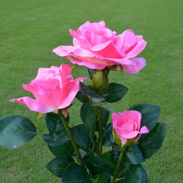 Solar Rose Flower Lawn Lamp-ToShay.org